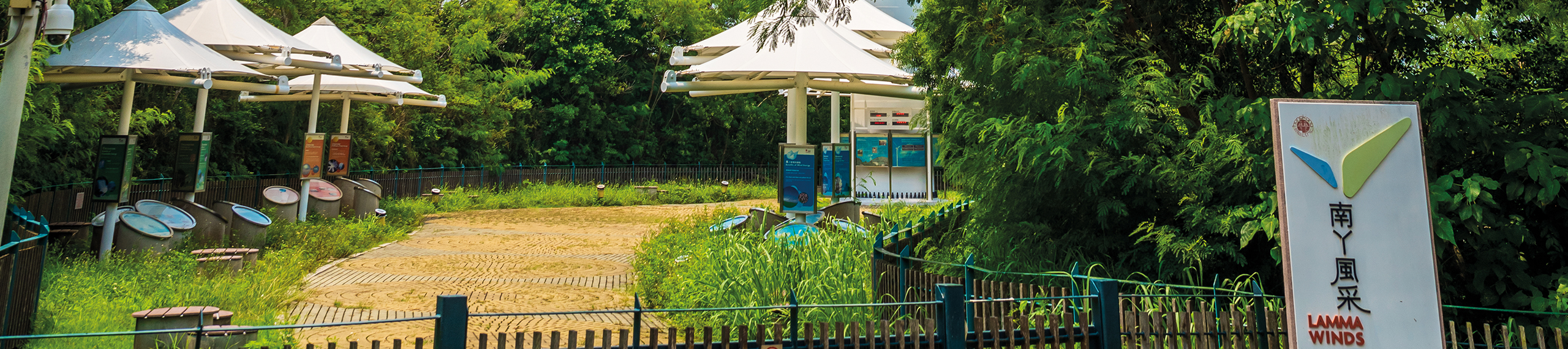 hero-explores-lamma-island-lamma-winds