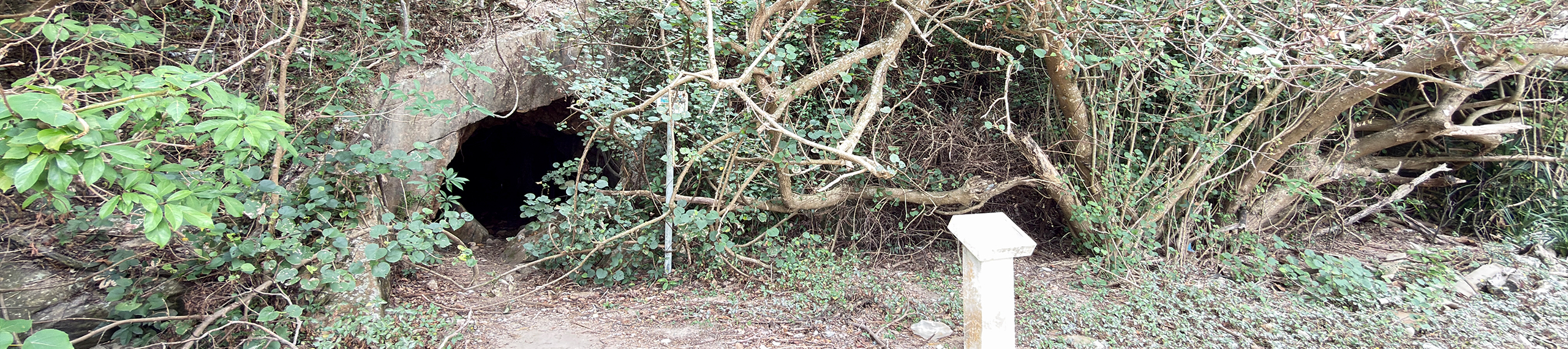 hero-explores-lamma-island-kamikaze-cave