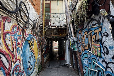 牛皮厂 (秘密花园)