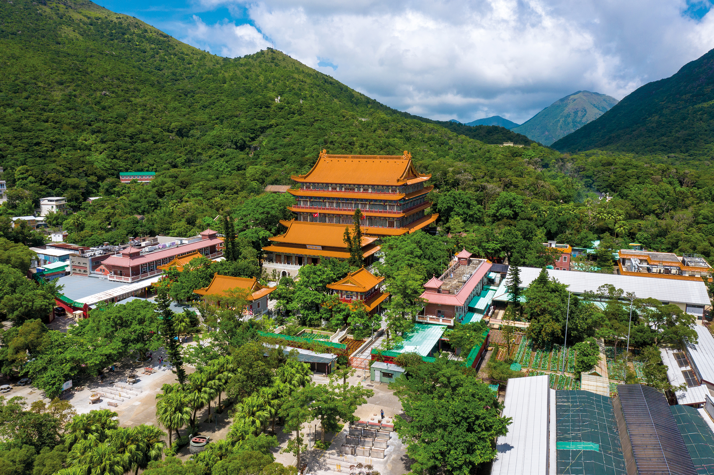 天壇大佛|島語 - 離島旅遊指南