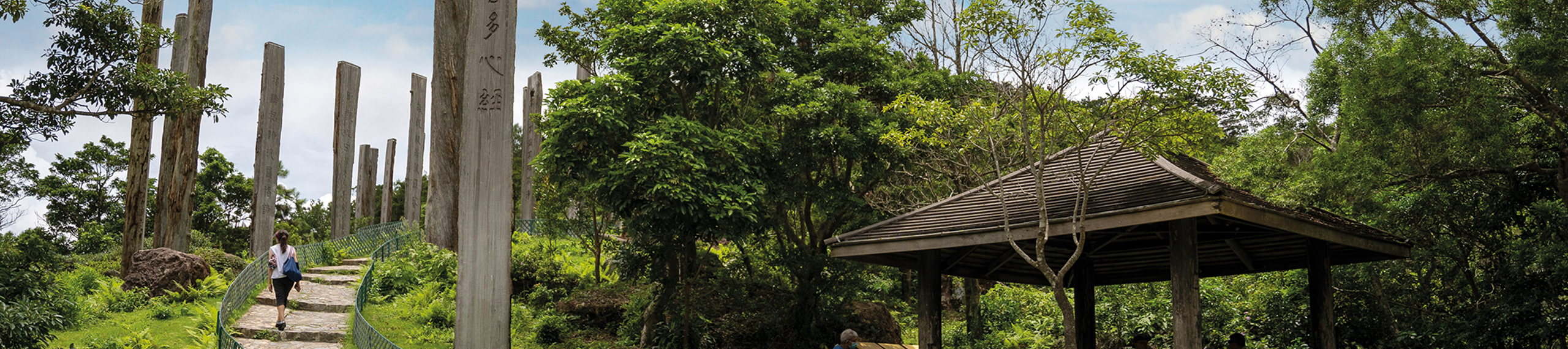 hero-explores-tai-o-wisdom-path